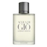 Perfume Acqua Di Giò EDT Masculino 100ml Giorgio Armani